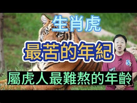 屬虎的幸運數字|【屬虎幸運數字】揭秘屬虎者的2024年幸運數字！使用這些數字。